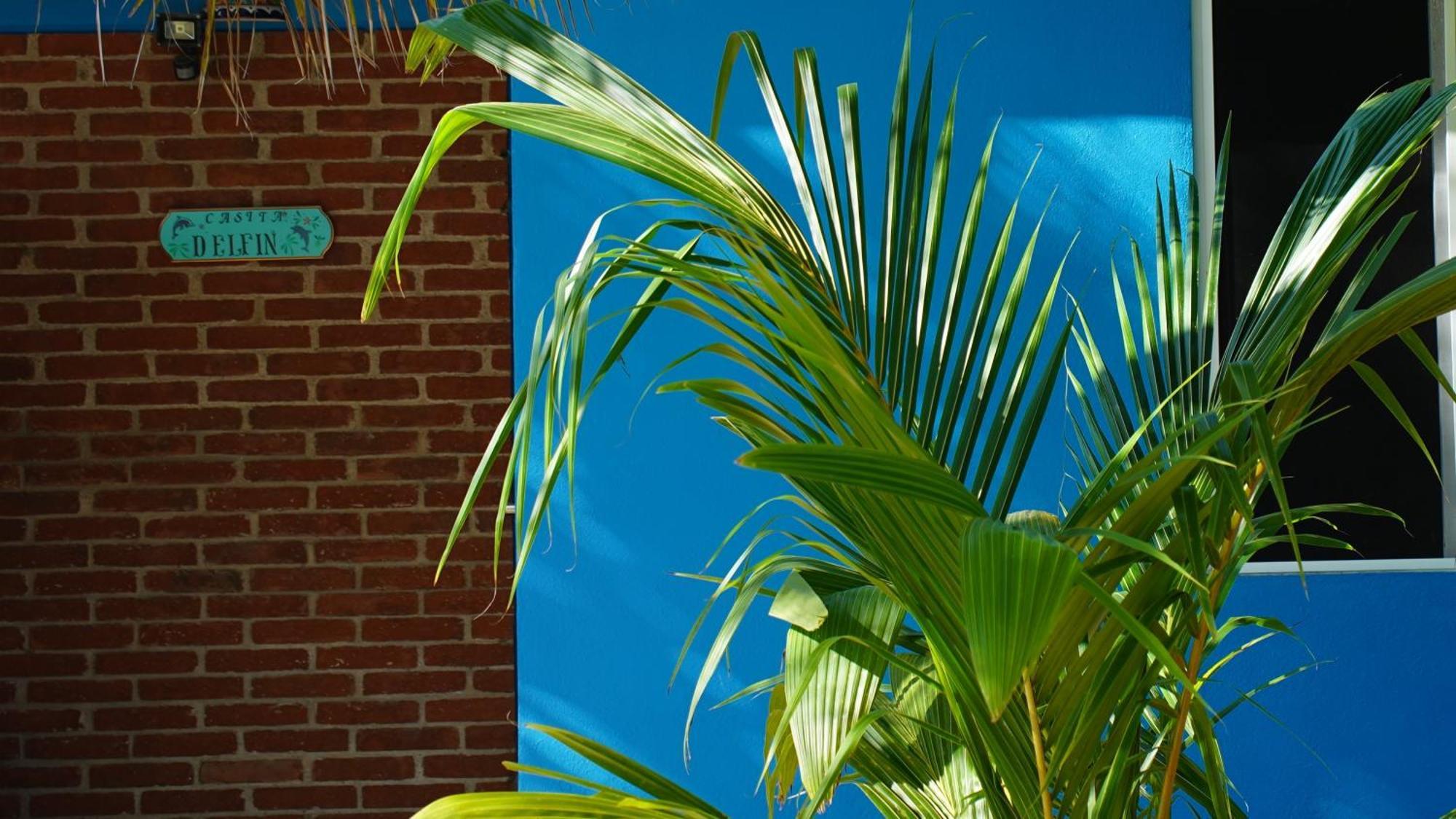 Ocean Oasis Hotel - Adult Only, Four Casitas Boutique Resort Agua Blanca Exterior foto